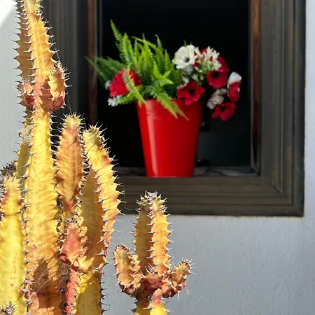 Villa Adel, Oasis De Paz Con Piscina Climatizada