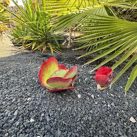 Adel, Oasis De Paz Con Piscina Climatizada *